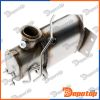 Filtres à Particules Diesel EURO4 pour AUDI | DPF-AU-001, 095-361